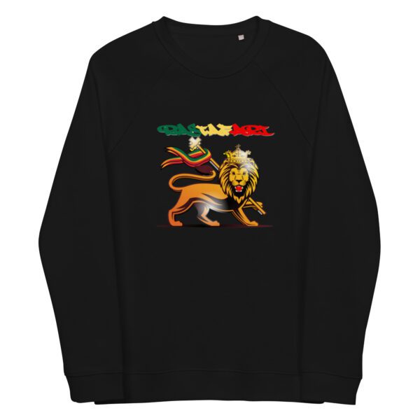 unisex organic raglan sweatshirt black front 65d9cc29def71