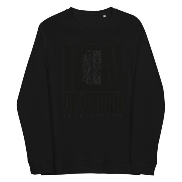 unisex organic raglan sweatshirt black front 65d9d74b4784f