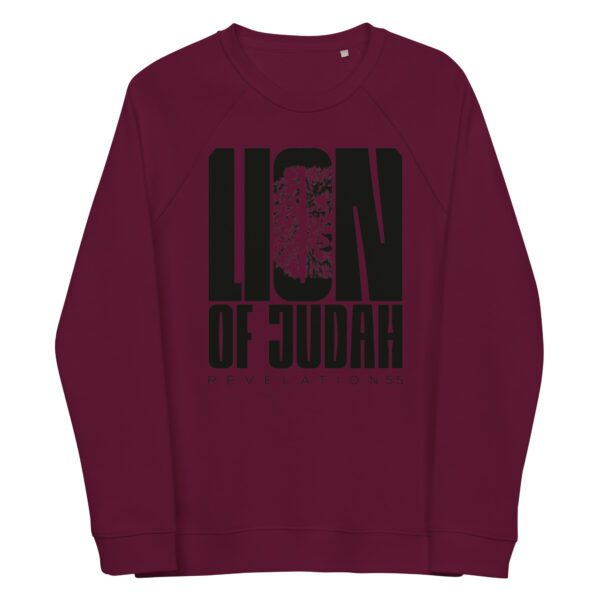 unisex organic raglan sweatshirt burgundy front 65d9d74b479d9