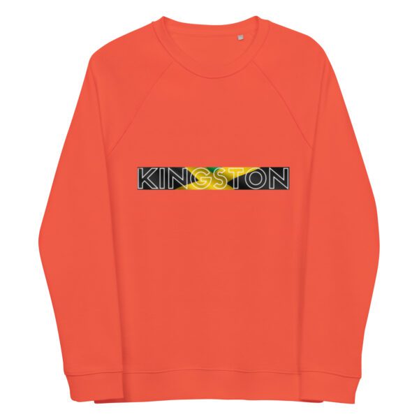 unisex organic raglan sweatshirt burnt orange front 65d9a8e0d1d63