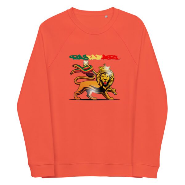 unisex organic raglan sweatshirt burnt orange front 65d9cc29dfb1d