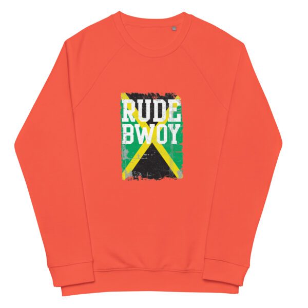 unisex organic raglan sweatshirt burnt orange front 65db2e5dd7f1c