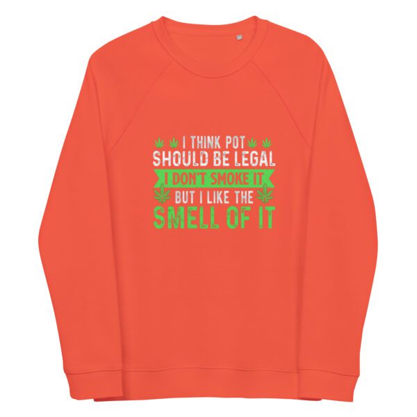 unisex organic raglan sweatshirt burnt orange front 65e0f52b20992
