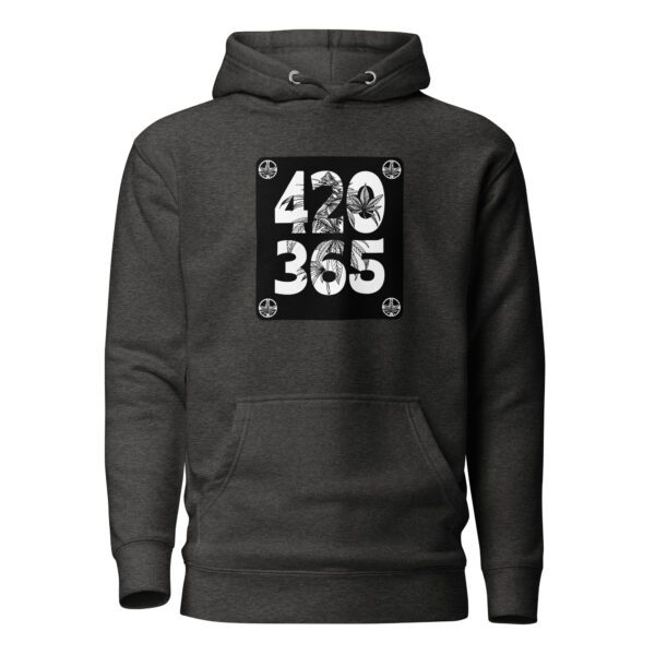 unisex premium hoodie charcoal heather front 65df953e0772c