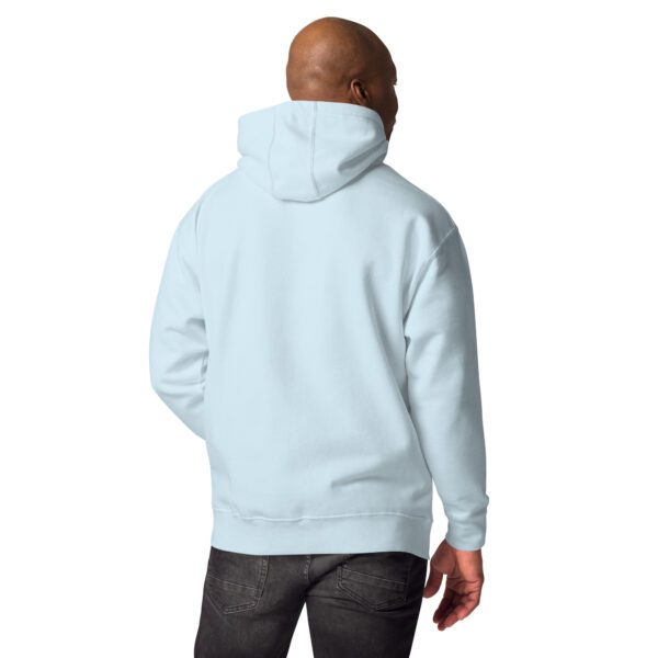 unisex premium hoodie sky blue back 65d9d05f7bd0f