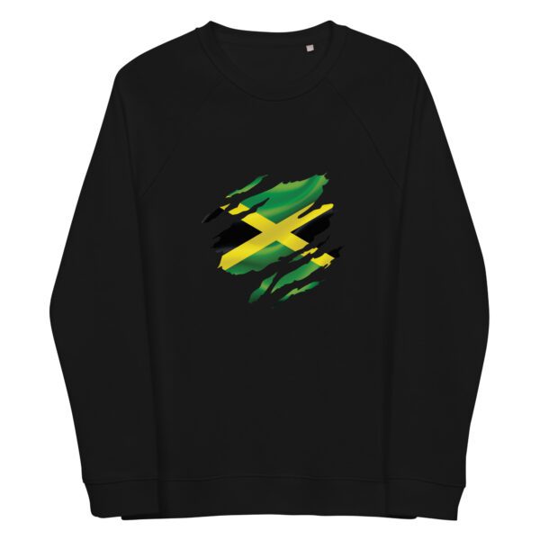 unisex organic raglan sweatshirt black front 65eef9948062a