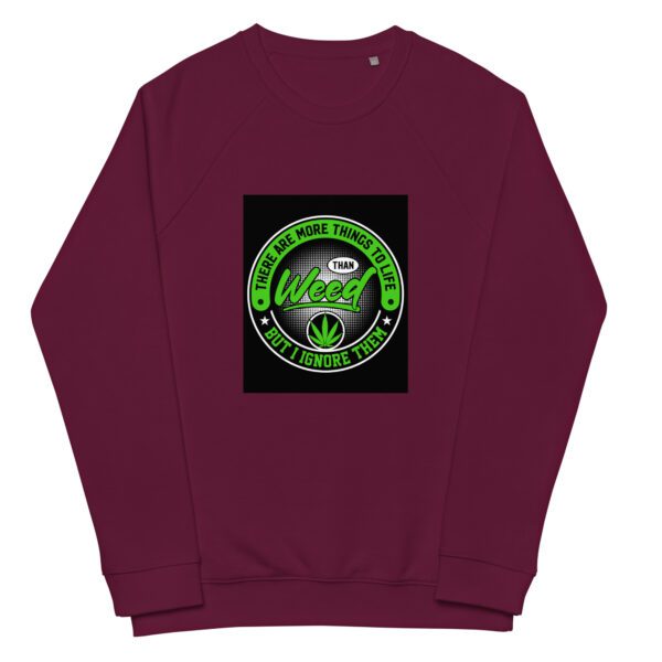 unisex organic raglan sweatshirt burgundy front 65e4216677ed8