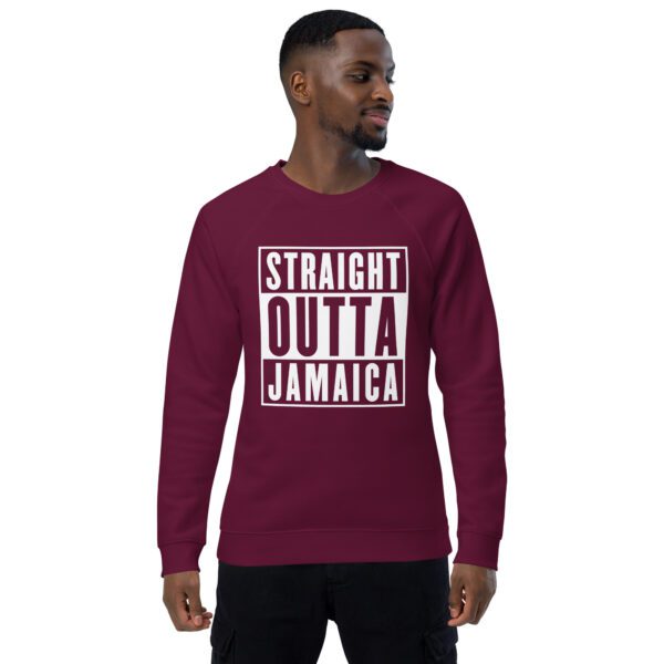 unisex organic raglan sweatshirt burgundy front 65ff2acfd467f