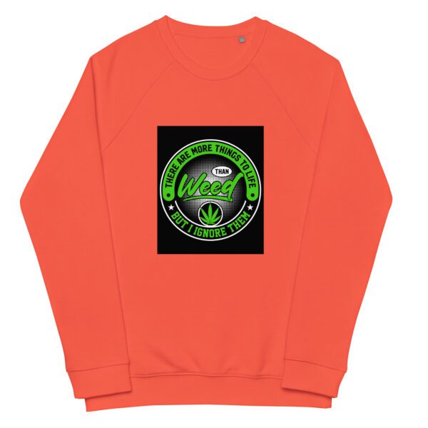unisex organic raglan sweatshirt burnt orange front 65e4216678977