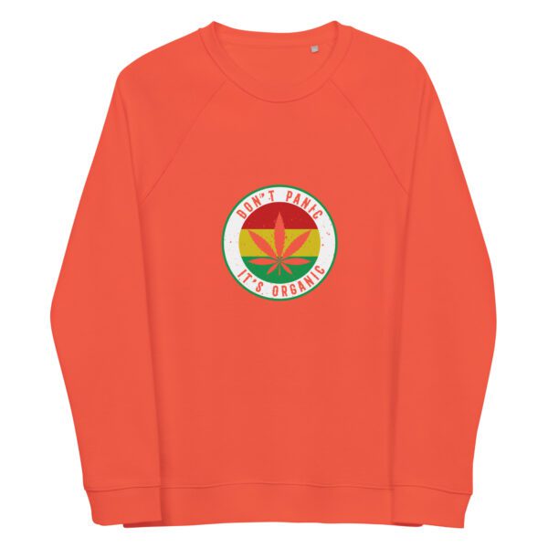 unisex organic raglan sweatshirt burnt orange front 65e43597617bc