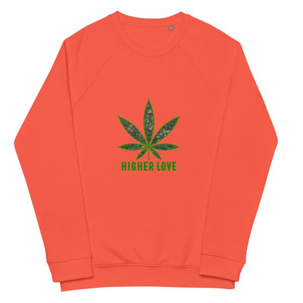 unisex organic raglan sweatshirt burnt orange front 65e4525b1b19e