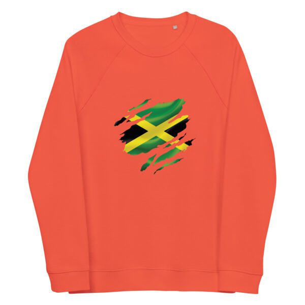 unisex organic raglan sweatshirt burnt orange front 65eef99482f18