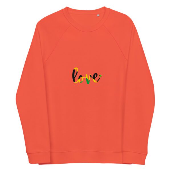 unisex organic raglan sweatshirt burnt orange front 65ef18059ab5f