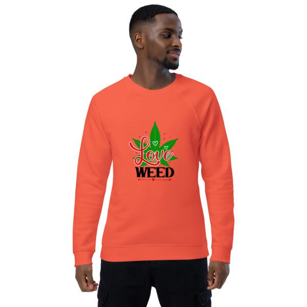 unisex organic raglan sweatshirt burnt orange front 65f0560e93d73