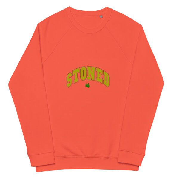 unisex organic raglan sweatshirt burnt orange front 65f4b8b963fb8