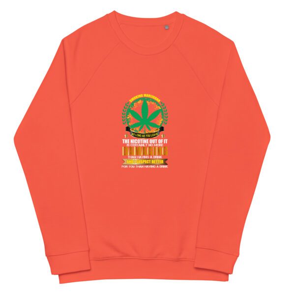 unisex organic raglan sweatshirt burnt orange front 65fc3b8c3364c