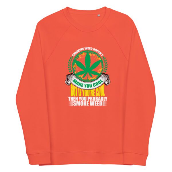 unisex organic raglan sweatshirt burnt orange front 65fc3ece9a490