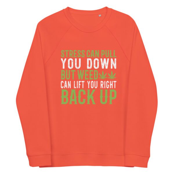 unisex organic raglan sweatshirt burnt orange front 65ff37e910996
