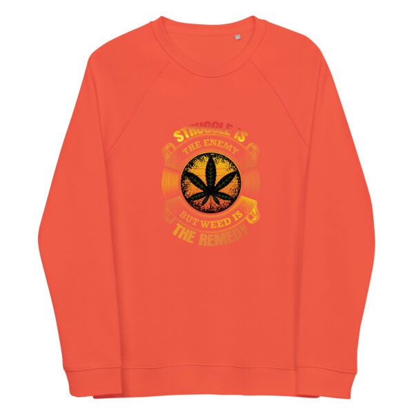 unisex organic raglan sweatshirt burnt orange front 65ff4186ba805