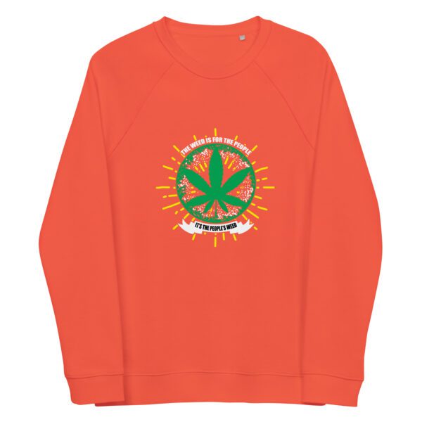 unisex organic raglan sweatshirt burnt orange front 6600731603fd8